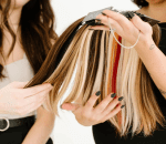 selection of extensions